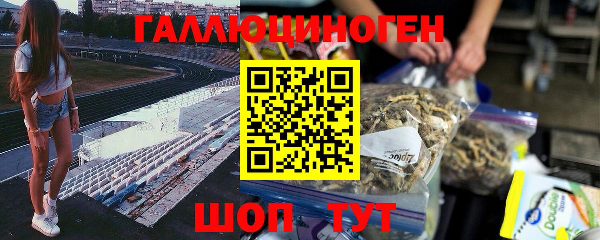 дарнет шоп  Вход с VPN  Выборг  Псилоцибиновые грибы Cubensis 